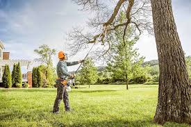 Best Hazardous Tree Removal  in Cudjoe Key, FL